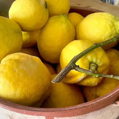 Villa Romantic Lemonia *