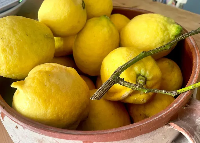 Villa Romantic Lemonia *